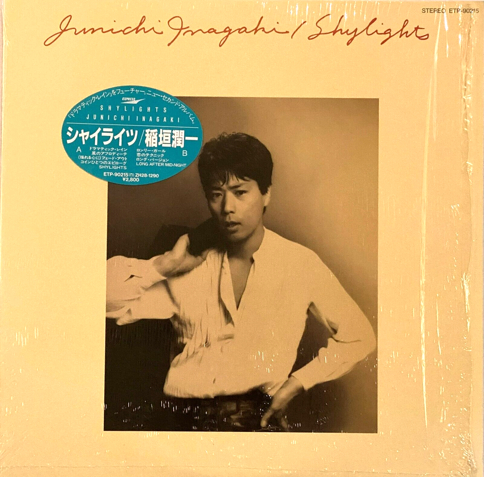 JUNICHI INAGAKI / SHYLIGHTS, VINYL LP, 33 RPM, CITY POP