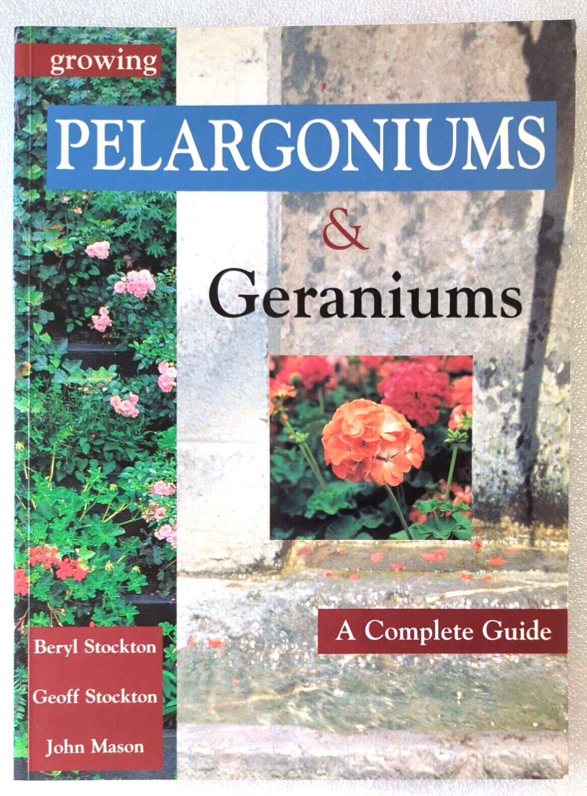 Growing Pelargoniums and Geraniums: a Complete Guide by Beryl Stockton, Jason Mason