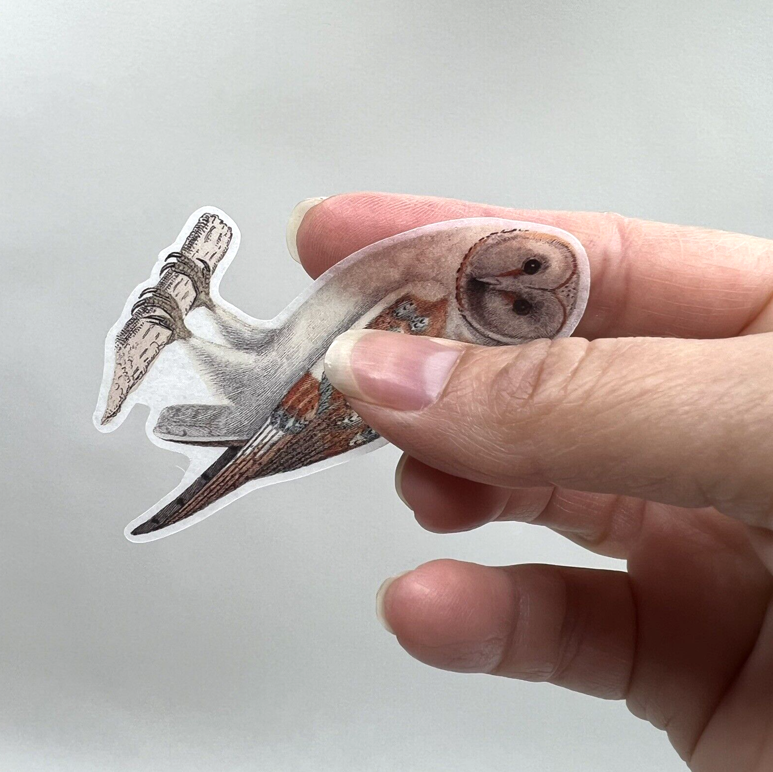 Owl Washi Paper Stickers Vintage Style Scrapbook Junk Journals Collage