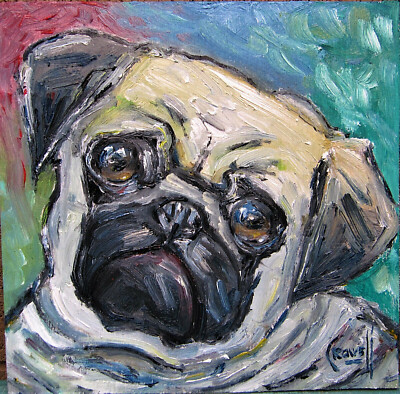 PUG DOG original NEW oil painting art cute pet 8x8 wood panel signed Crowell $