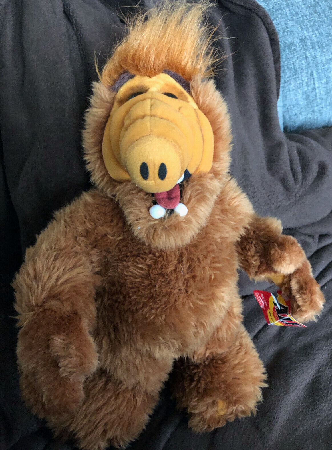 ALF (Alien Life Form) 16