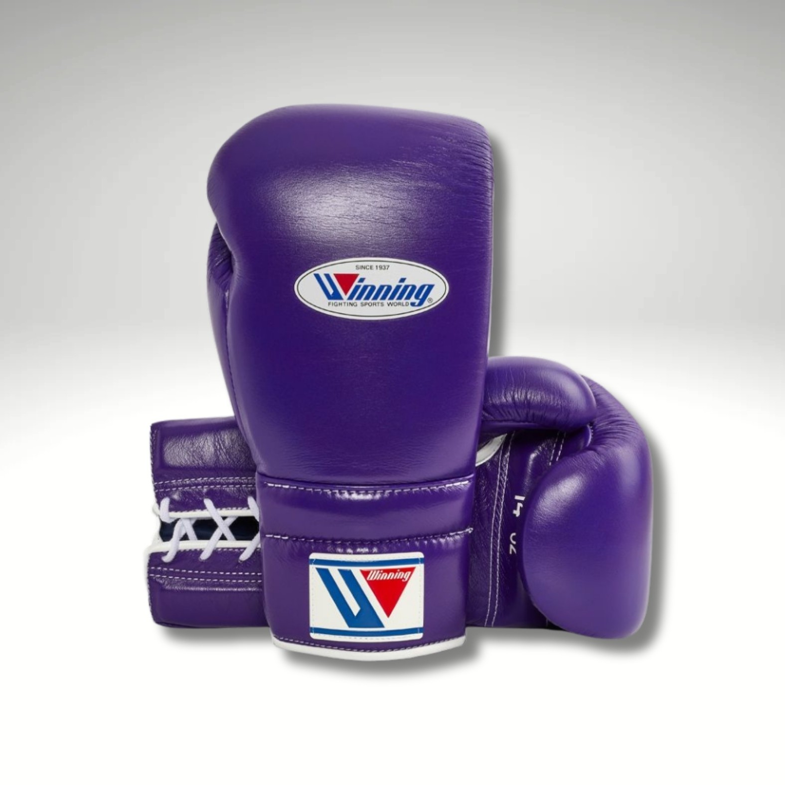 ウイニング　グローブ Winning Boxing Gloves 8 Oz World Champion | eBay