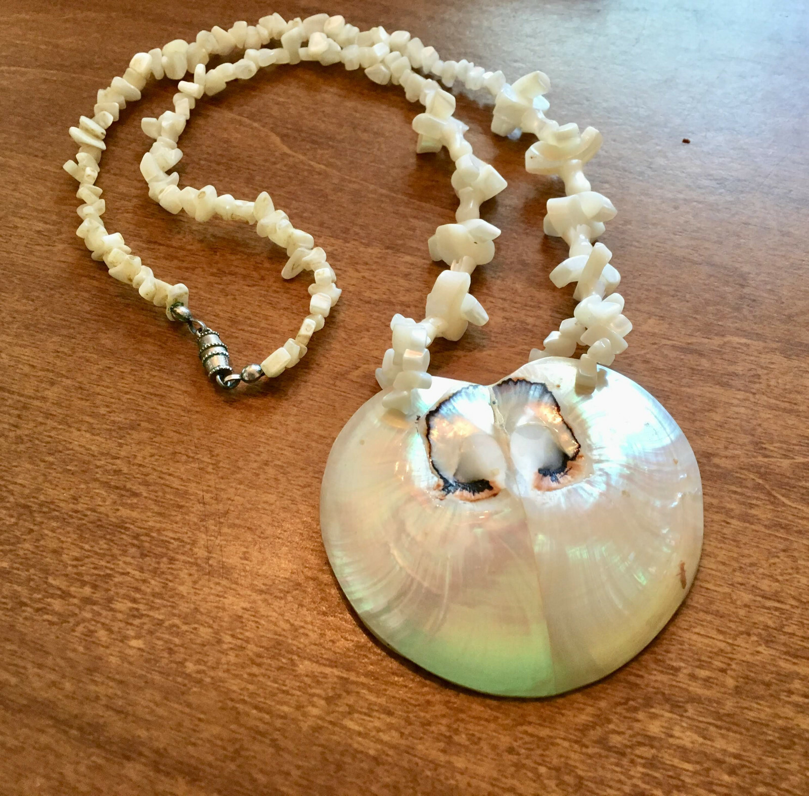 Seashell Necklace