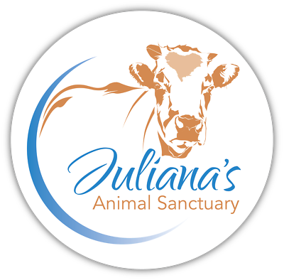 Julianas Animal Sanctuary Inc