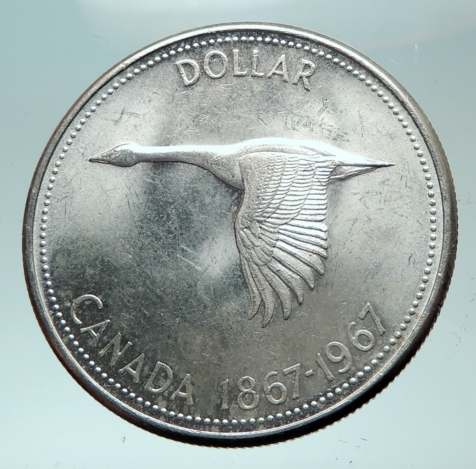 $_57.JPG?set_id=8800005007