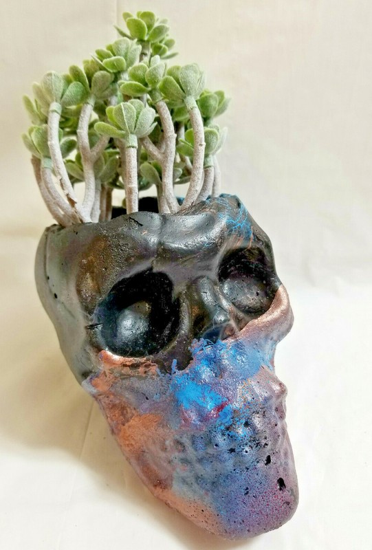 Handcrafted Cement Skull Sculpture/Planter by Bren Indoors or Outside Garden