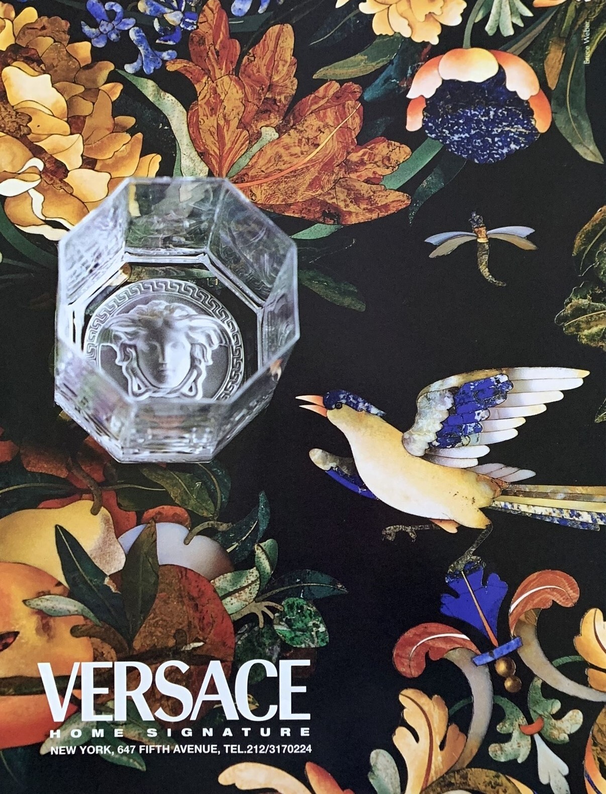 VERSACE SIGNATURE写真集 VERSACE SIGNATURE写真集