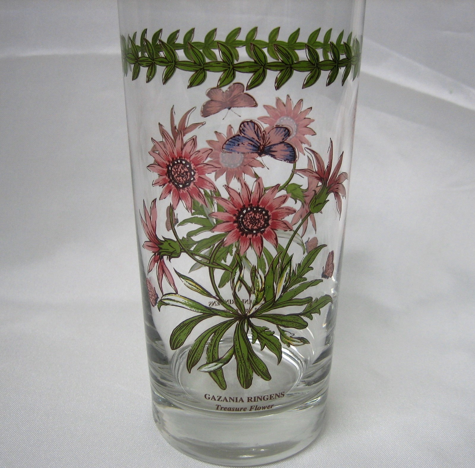 Portmeirion BOTANIC GARDEN Gazania Ringens Treasure Flower 16 Oz Highball Glass