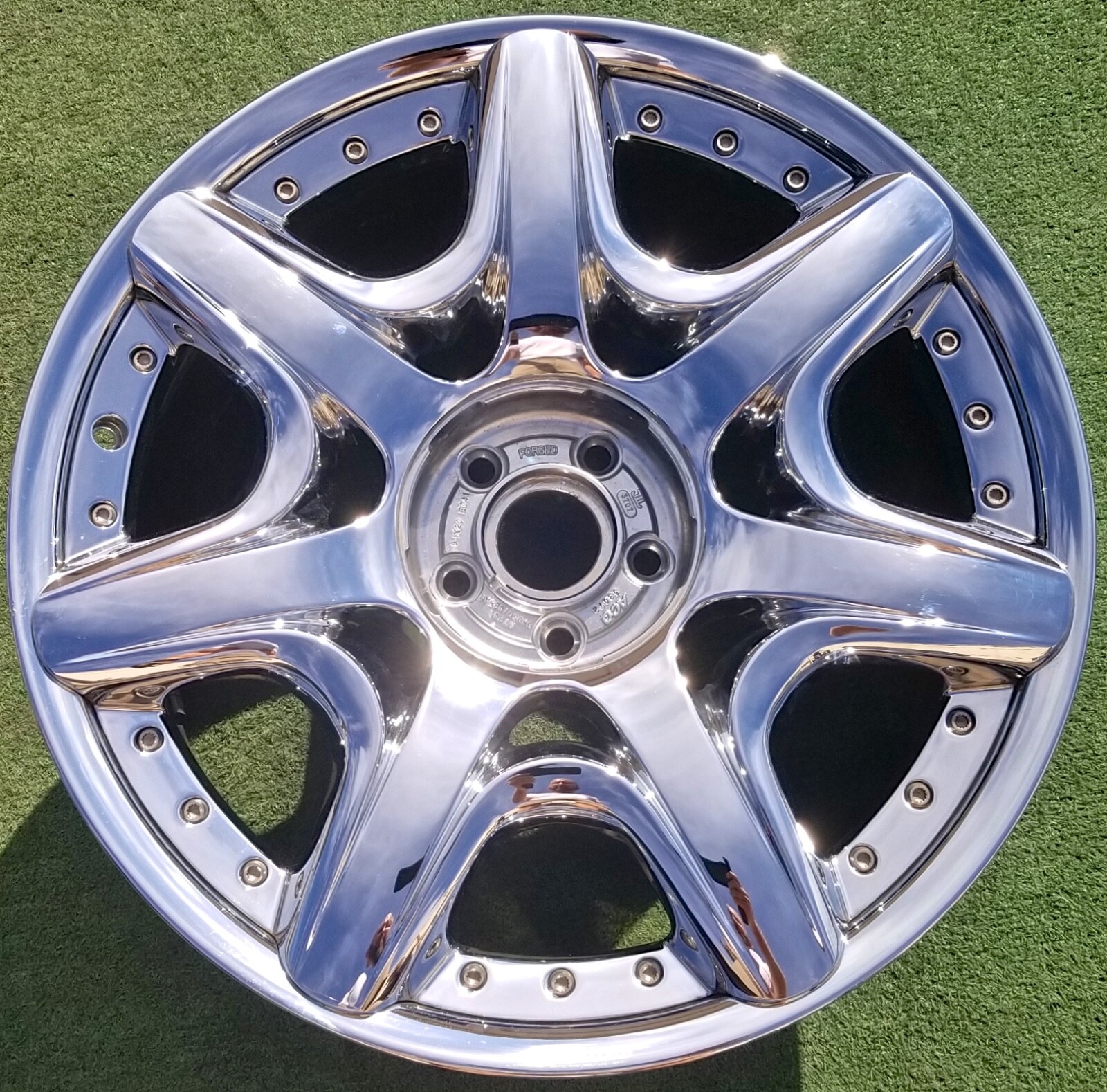Continental ウィール  53mm100A コンチネンタル ウィール スケートボード SRS SK8 Continental