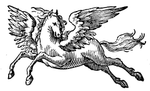 cyber-pegasus