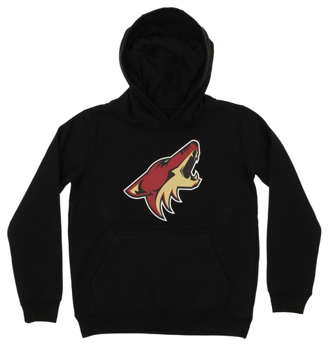 Outerstuff Флисовая толстовка с логотипом NHL Youth Arizona Coyotes Primary