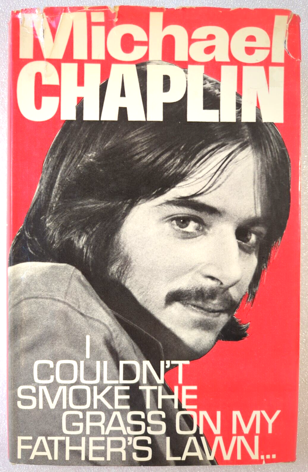 I Couldn't Smoke The Grass On My Father's Lawn by Michael Chaplin