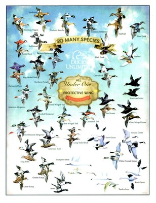 Ducks Unlimited DU Wetland Bird Game Hunting Decoy Wall Metal Tin Ad Sign Gift