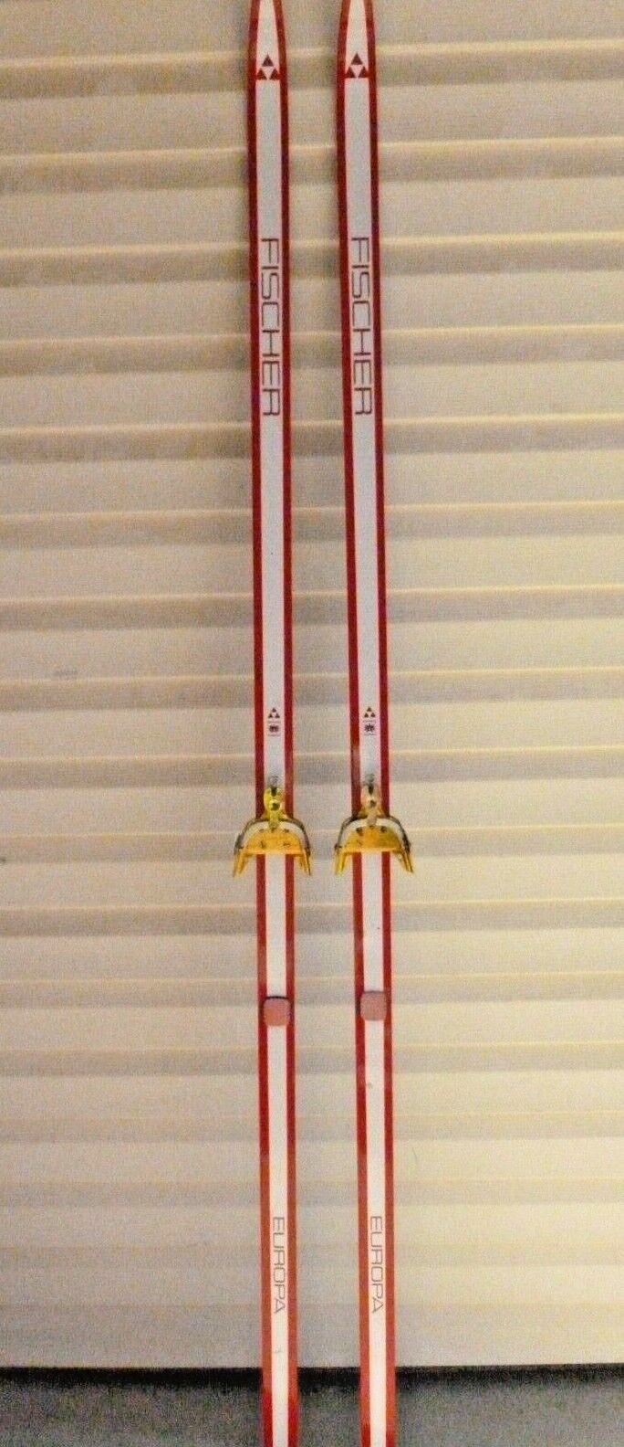 Fischer RCS Classic スキーとYOKOストック Fischer RCS Classic スキーとYOKOストック スキー