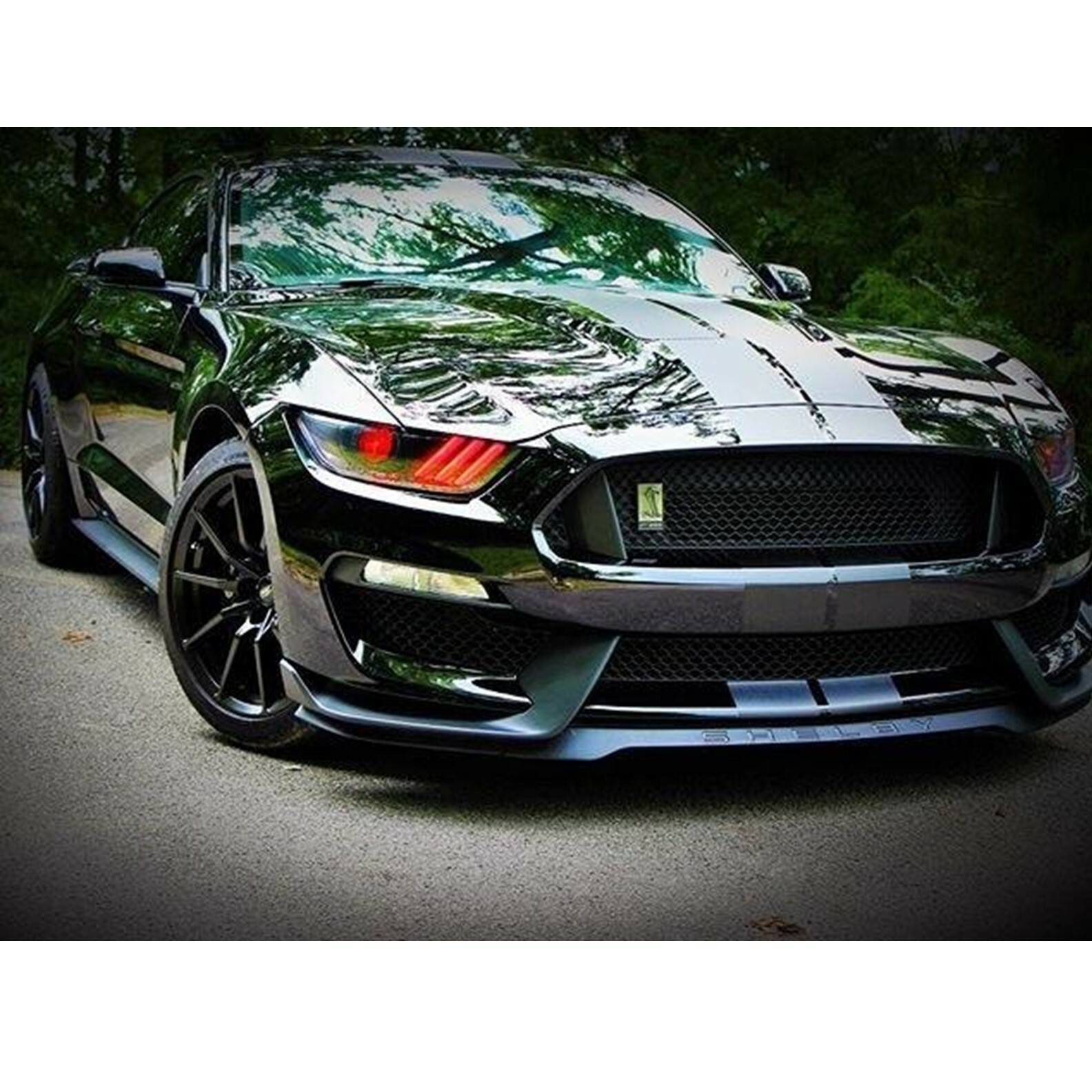 マルチカラー デーモンアイキット 2015-2017 Ford Mustang Multicolor Demon Eye Kit for 2015-2017 Ford Mustang
