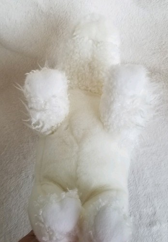 Roam White Buffalo Bison 12