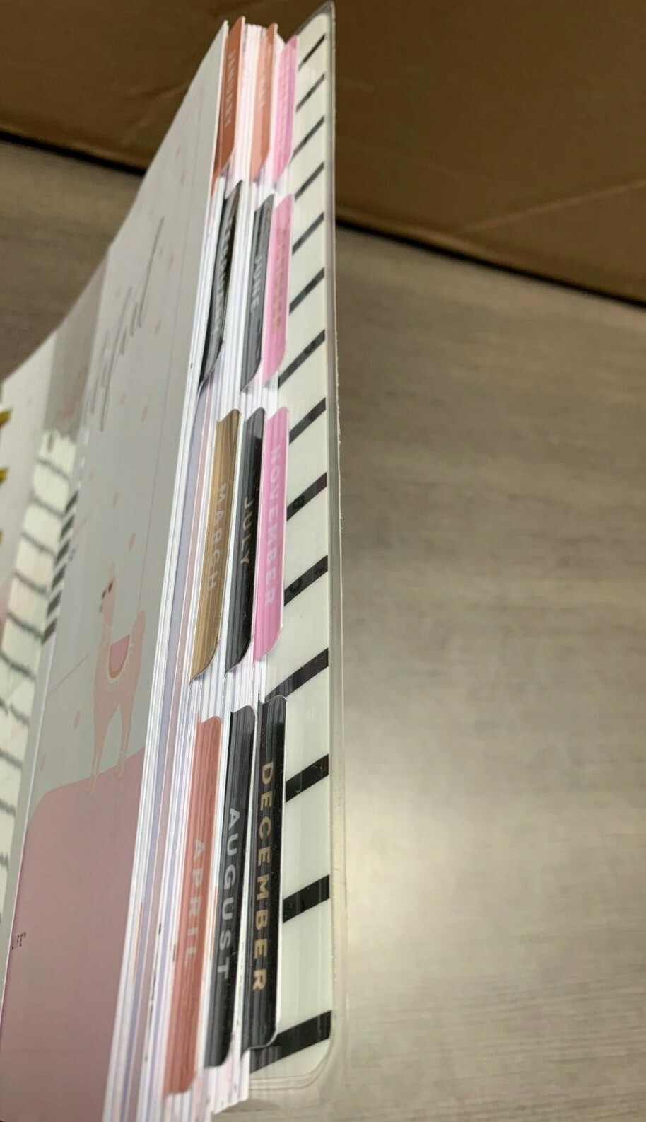 DAMAGED - Create 365 The Classic Happy Planner No Drama Llama / UNUSED