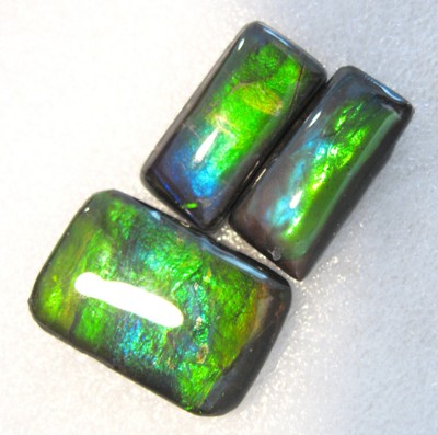 AMMOLITE GEMSTONES LOT of THREE Perfect for Pendant and Earrings