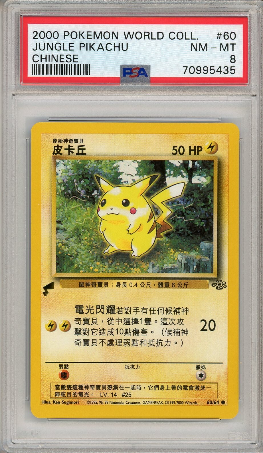 Pokemon Card Pikachu PW Pikachu World Chinese Promo 2010 PSA
