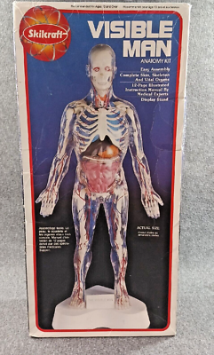 新品即決 希少 Skil Craft Visible Man Anatomy Kit 模型/プラモデル