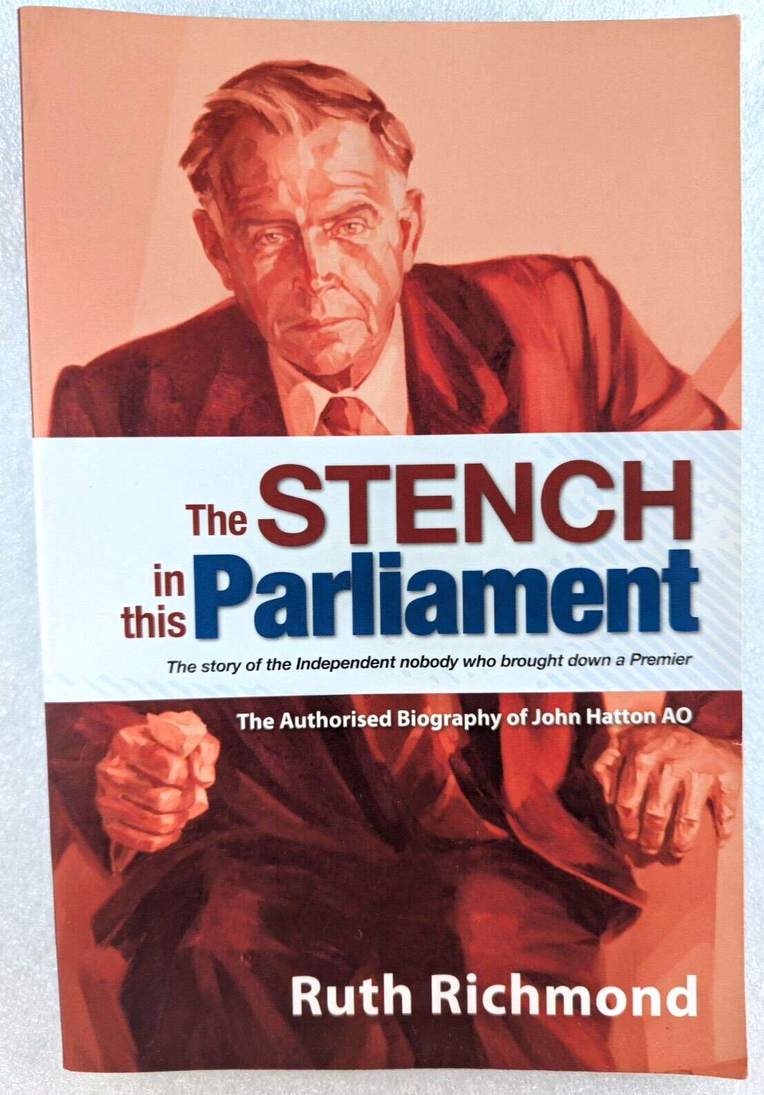 The Stench In This Parliament by Ruth Richmond