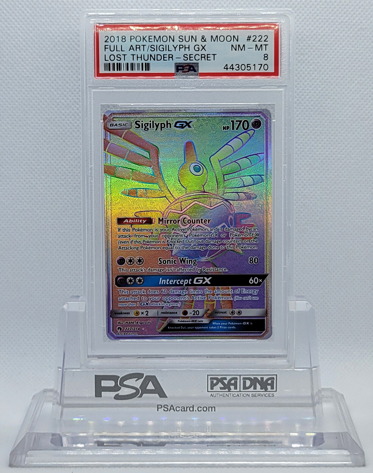 ポケモン - slk SPINGLE MOVE スニーカー バンギラス 22.5cm／23.5cm／24.5cm