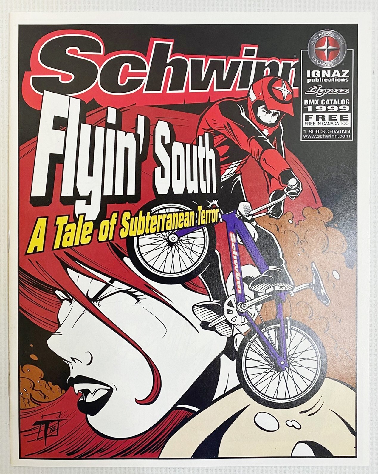 Huffy ビンテージ ナンバープレート BMX Team schwinn Huffy ビンテージ ナンバープレート BMX Team schwinn Huffy
