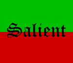 salientsneakers