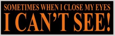 Sometimes When I Close My Eyes I Can't See 3x10 Bumper Sticker