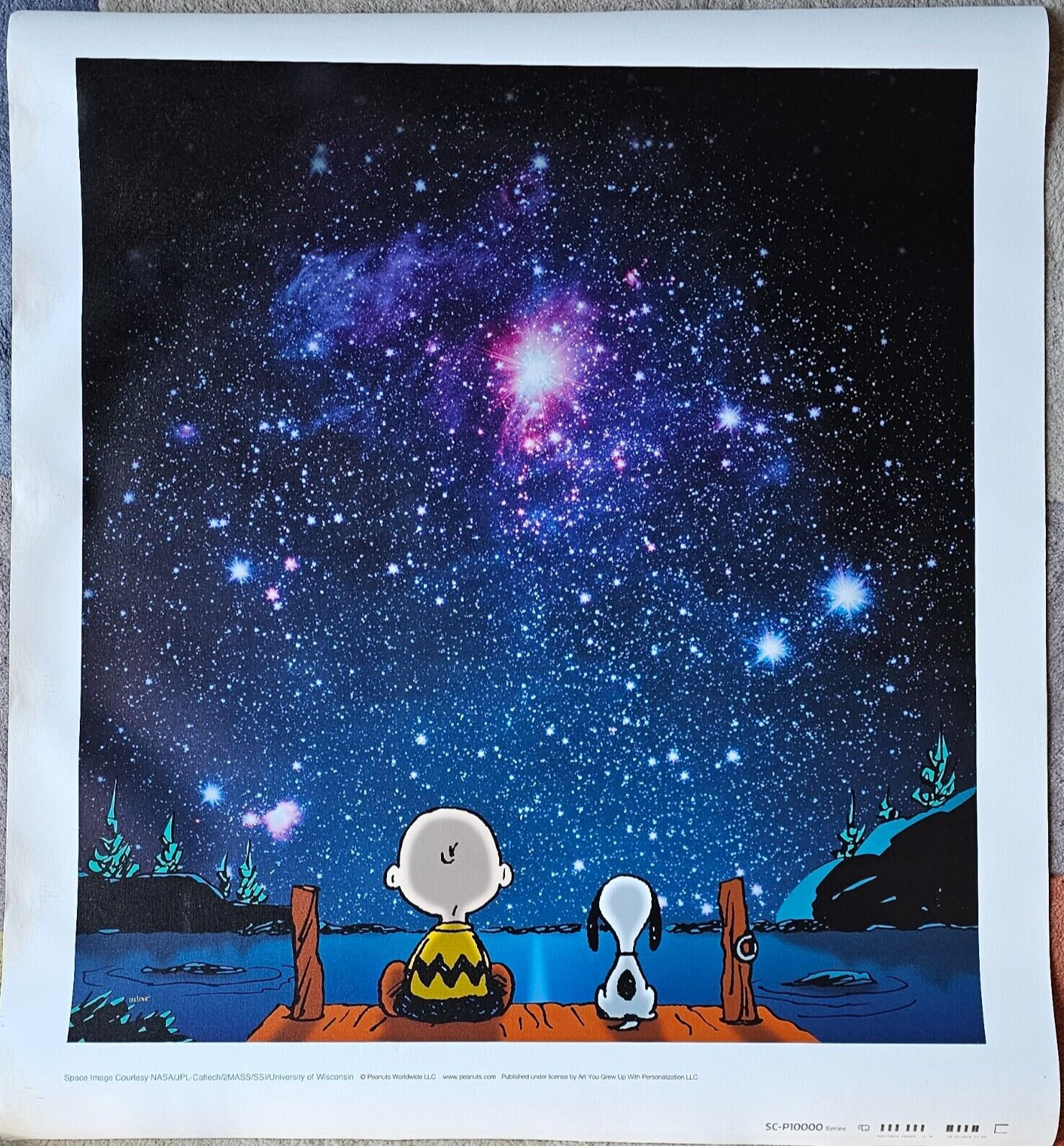 snoopy アストロノーツ　NASA ヴィンテージ　シルクスクリーン　ポスター snoopy アストロノーツ NASA ヴィンテージ シルクスクリーン