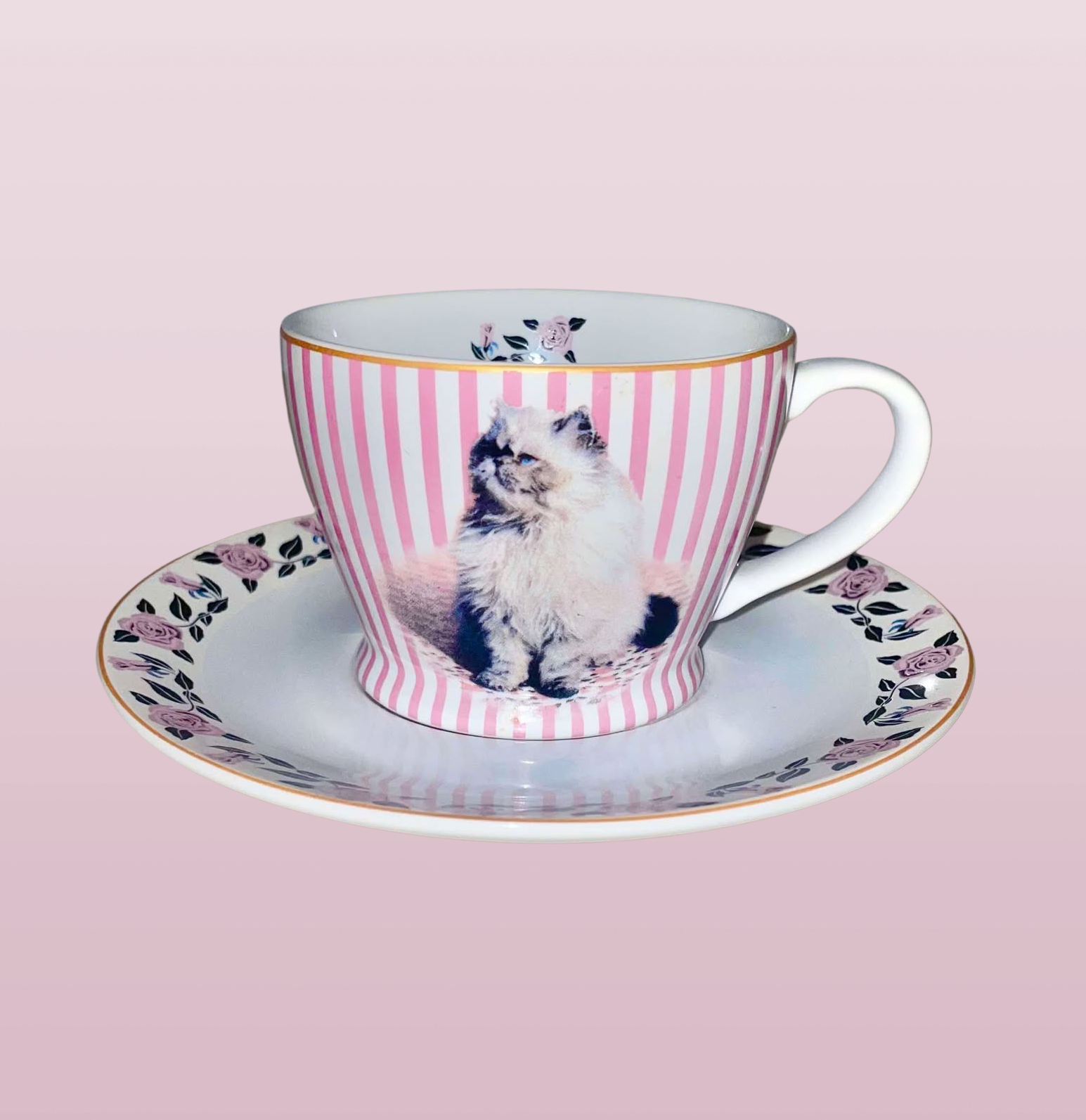 Dolores Umbridge Cat Pink Tea cup and saucer Warner Bros Studio