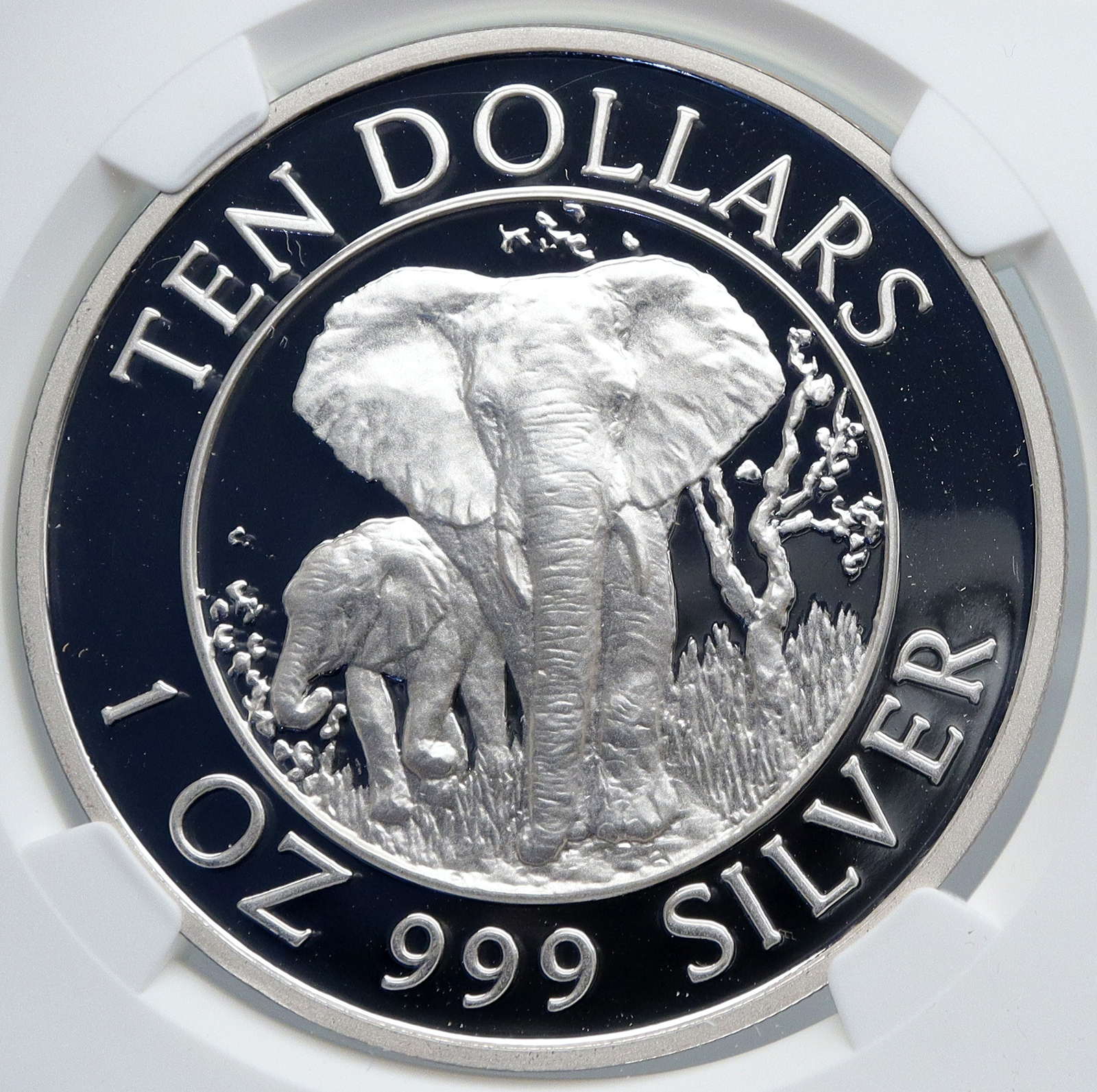 小物 TEN COIN SHEEP BLACK 小物 TEN COIN SHEEP BLACK TEN COIN SHEEP BLACK