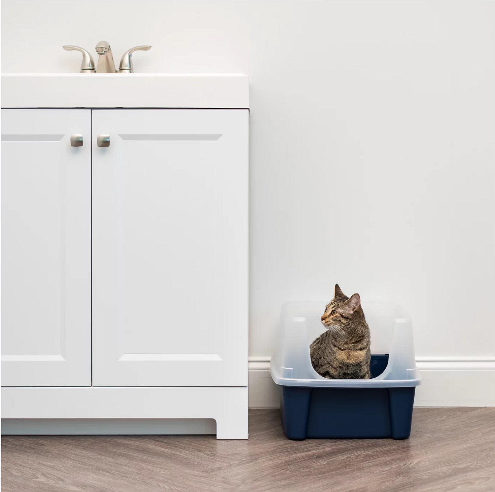 Pan Shield And Iris Usa Cat Litter Box