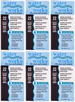 Water Works Permanent Powder Hair Color #22 Brown Black (6 Pack)