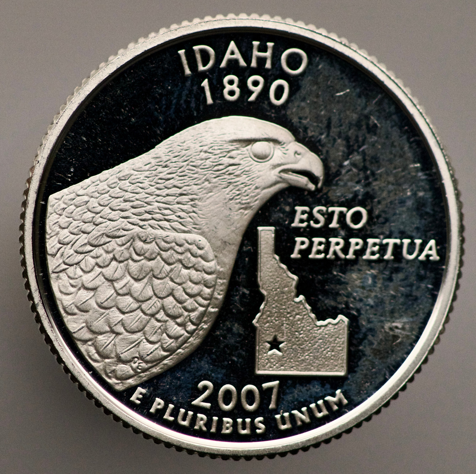 $_57.JPG?set_id=880000500F