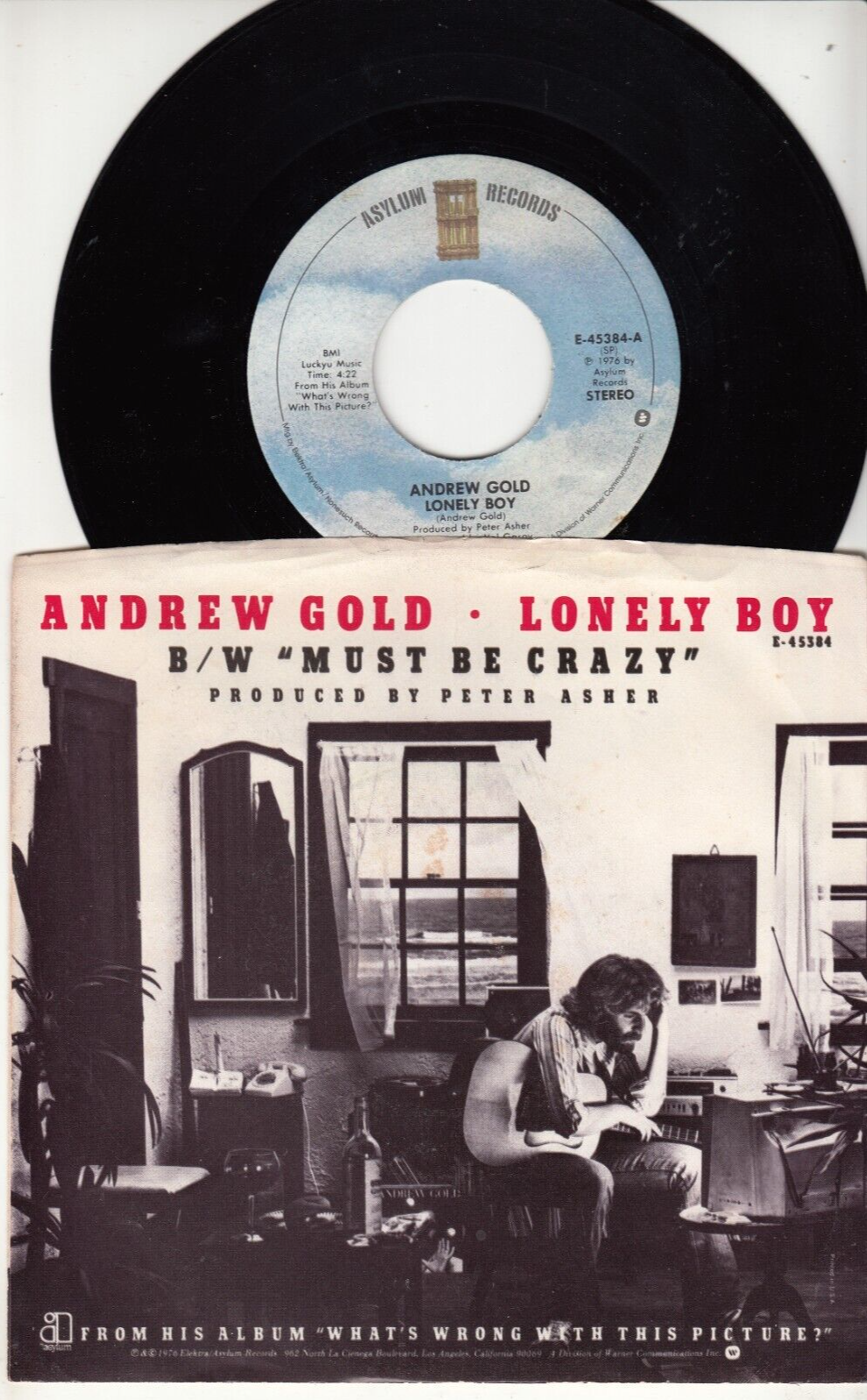 ANDREW GOLD - LONELY BOY - ORIGINAL ASYLUM RECORDS 45 WPS