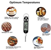 Meat Thermometer