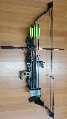 New Bows For 2003
