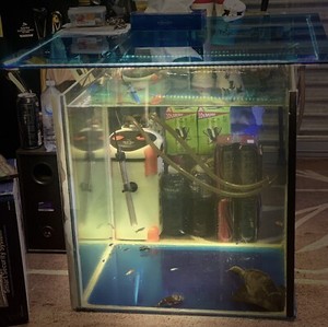 Aquarium Fish Tank 47 Coffee Table 47 Small Dining Table Pet Products Gumtree Australia Hume Area Craigieburn 1255118061
