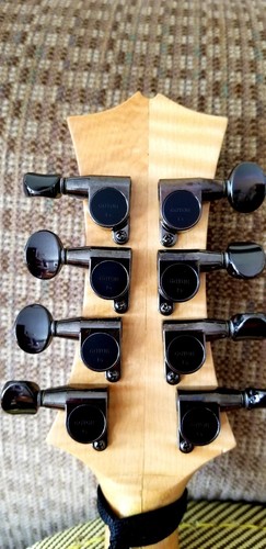 Dragonfly Instruments left-handed mandolin