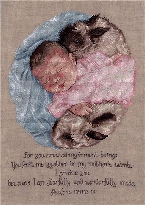 WONDERFULLY MADE SAMPLER-CROSS STITCH CHART-IMAGINATING