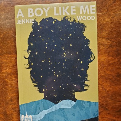 Boy Like Me by Jennie Wood (2014, Trade Paperback) - Used in Good Condition