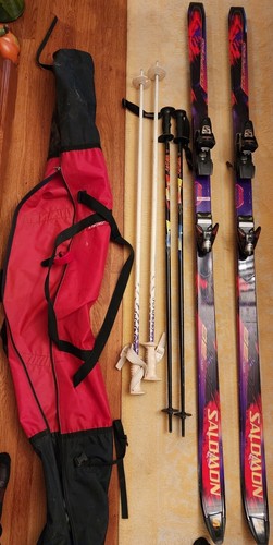 スキー SALOMON EQUIPE GC series 170cm skis SALOMON EQUIPE GC RACE, Full woodcore + Salomon Equipe