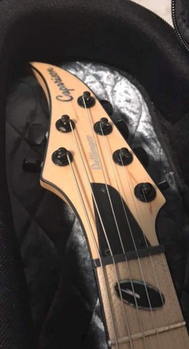 Caparison Dellinger-JSM Joel Stroetzel Signature White