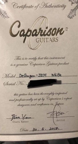 Caparison Dellinger-JSM Joel Stroetzel Signature White