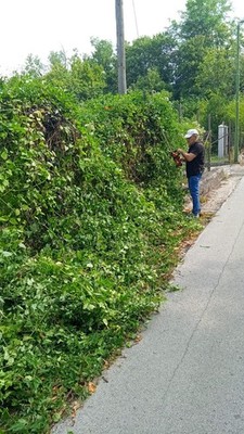 Objectfoto('s) van geverifieerde koper