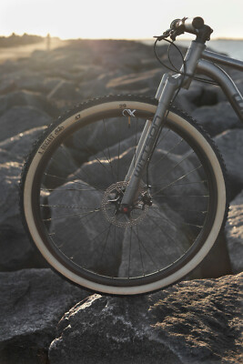 niner boost rdo carbon rigid fork