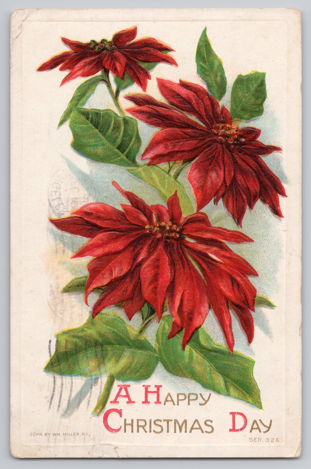 Happy Christmas Day Poinsettias 1911 Db Postcard