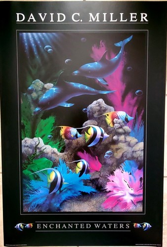 DAVID CHRISTPHER MILLER エンチャンテッド ウォーター DMA2015S17x254.jpg