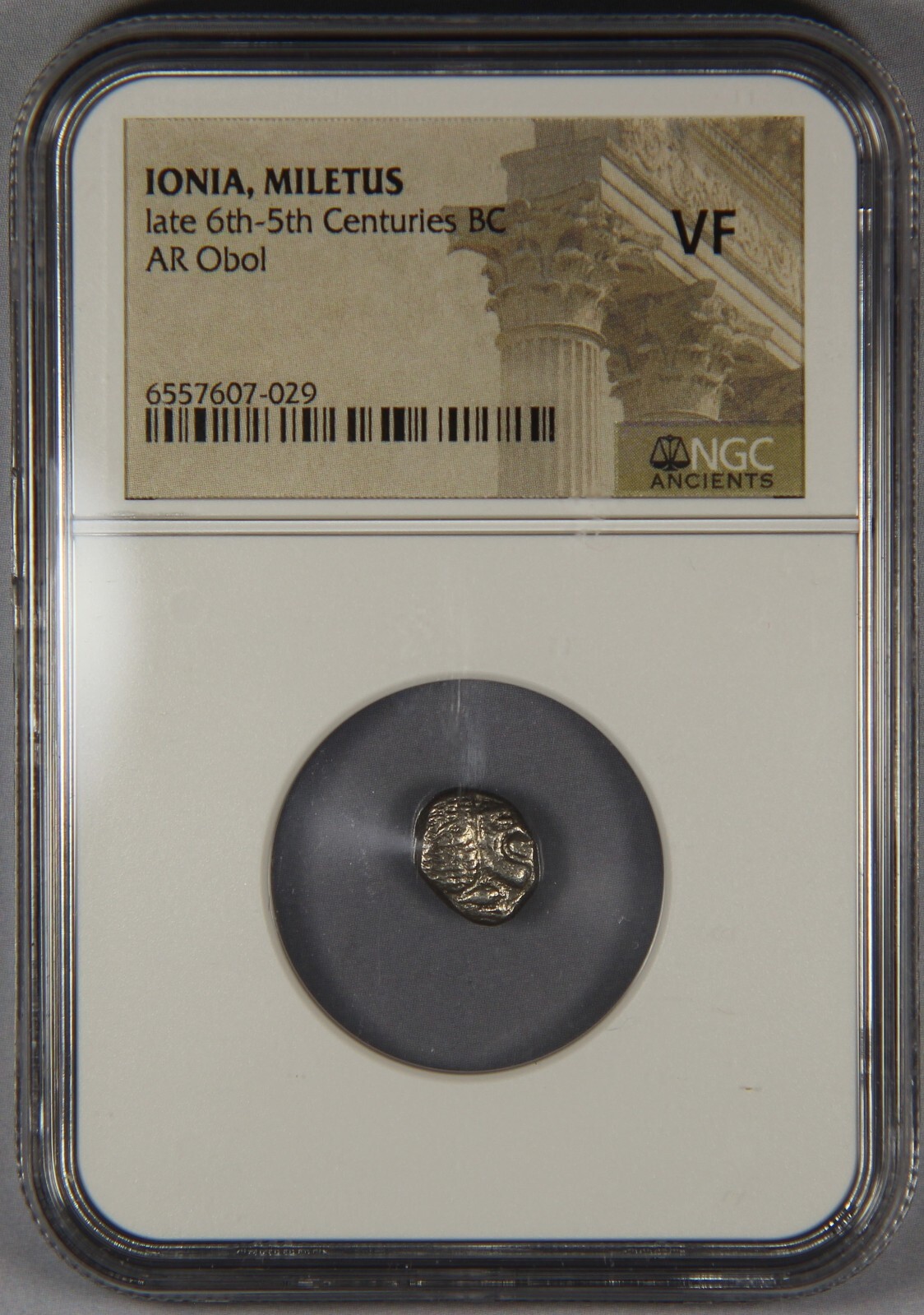 【189】ANCIENT COSMOS $_57.JPG?set_id=8800005007